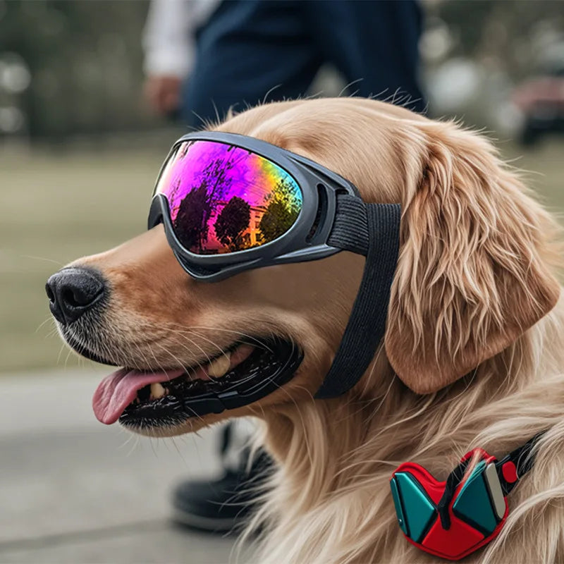 Adventure Pet Goggles