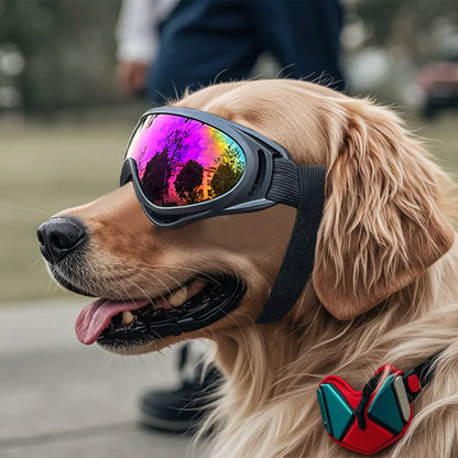 Adventure Pet Goggles
