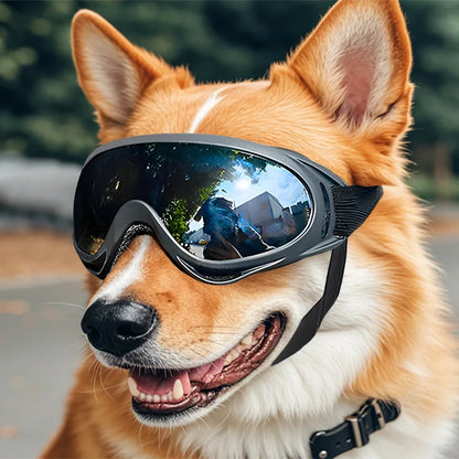Adventure Pet Goggles