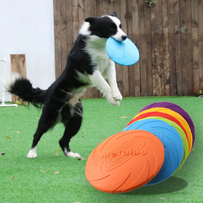 Plato Volador (Frisbee) para Perros — Diversión y Movimiento